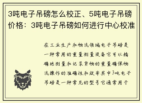 3吨电子吊磅怎么校正、5吨电子吊磅价格：3吨电子吊磅如何进行中心校准